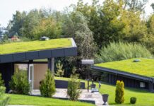 I tetti verdi sono tra gli interventi ammissibili nell'Ecobonus sociale