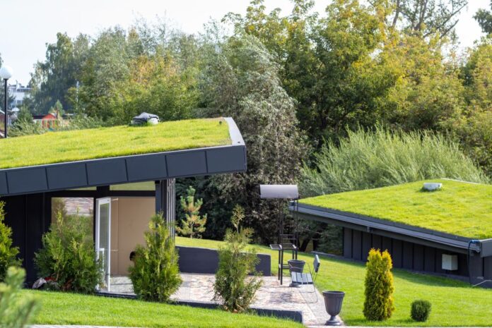 I tetti verdi sono tra gli interventi ammissibili nell'Ecobonus sociale