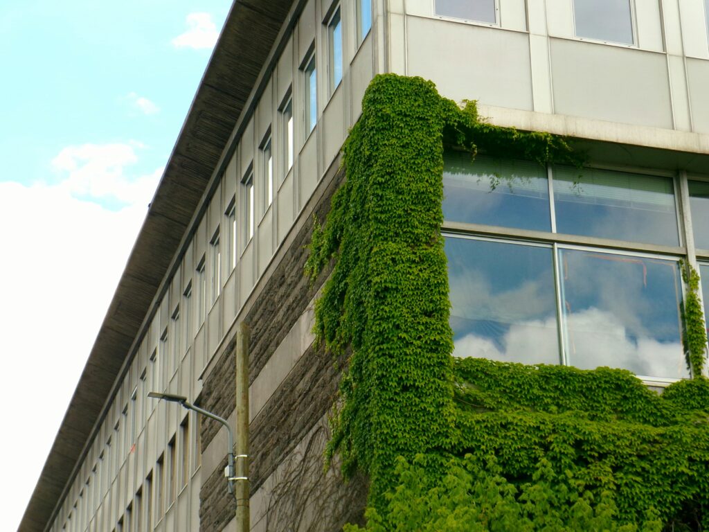 greenwashing